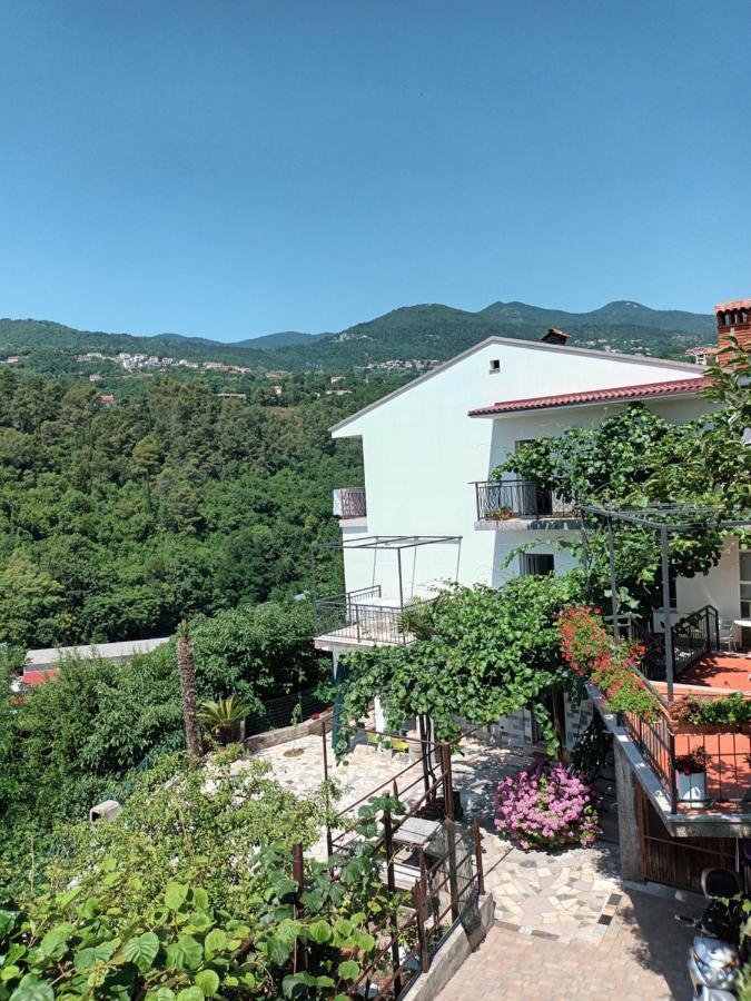 Apartments Branka Ika Bagian luar foto